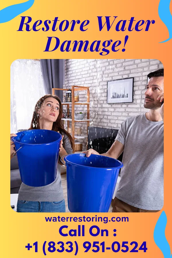 water restoration Stellar Sewage Cleanup Professionals Richmond