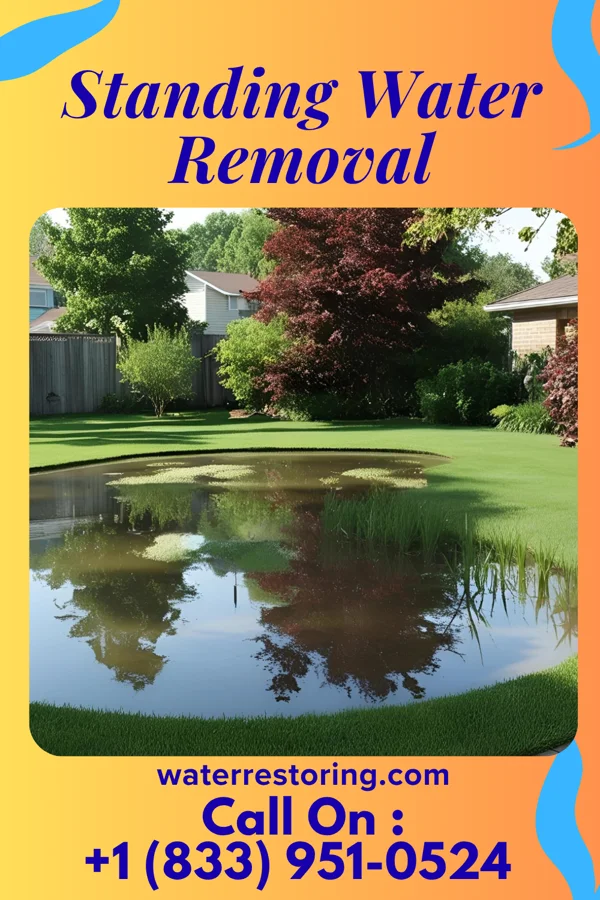 Standing Water Removal in Richmond, KS